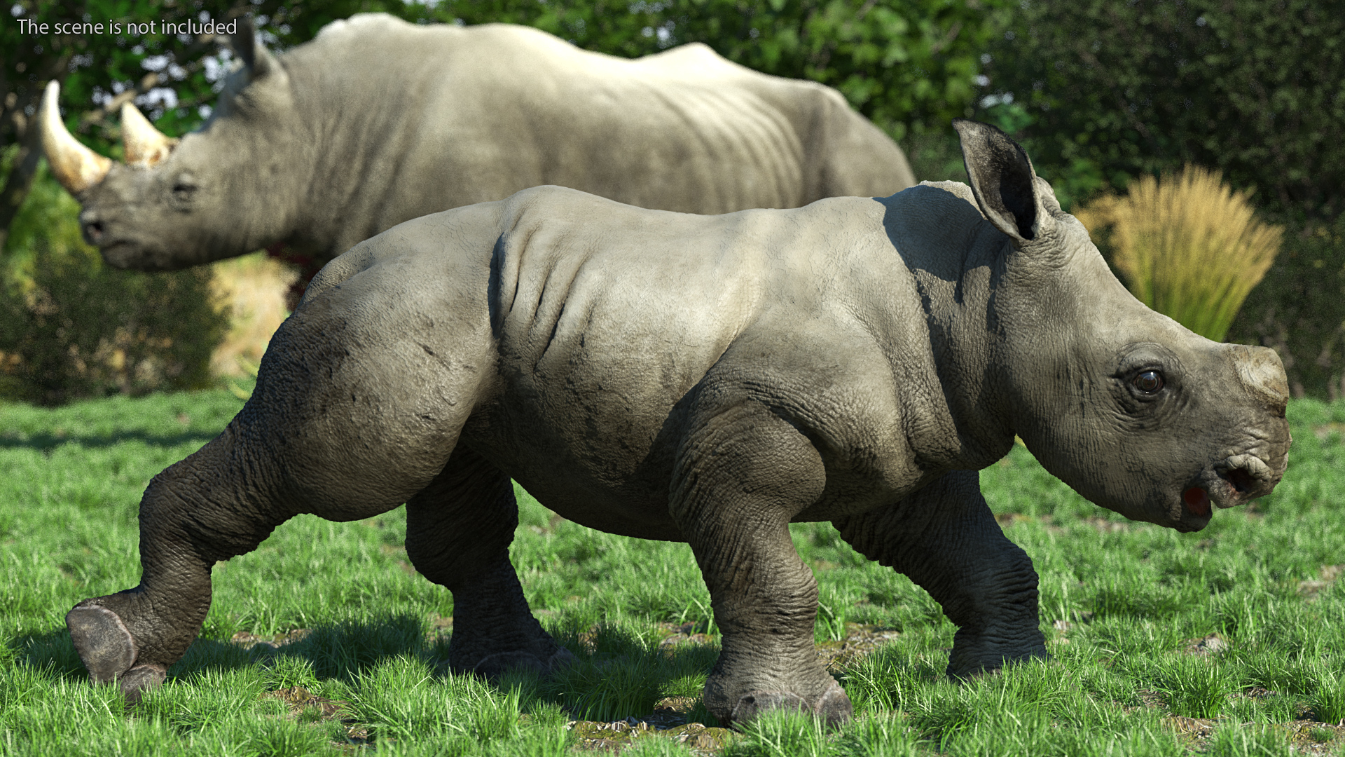 Baby Rhino Rigged 3D
