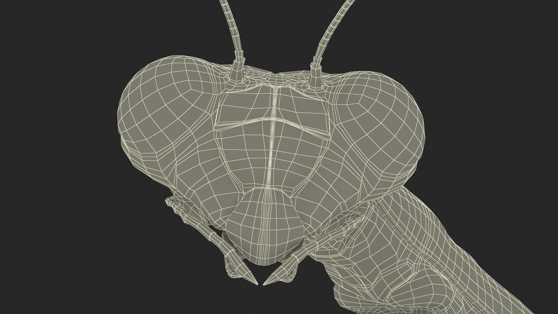 Realistic Praying Mantis 3D model