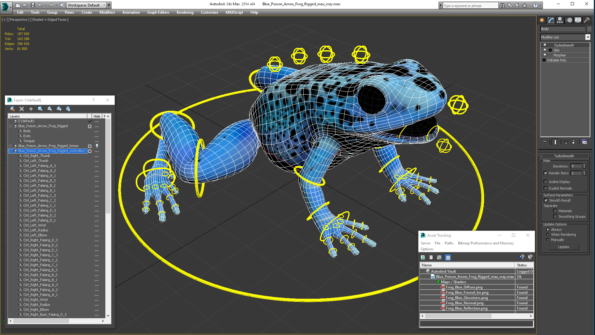 3D Blue Poison Arrow Frog Rigged for Maya model