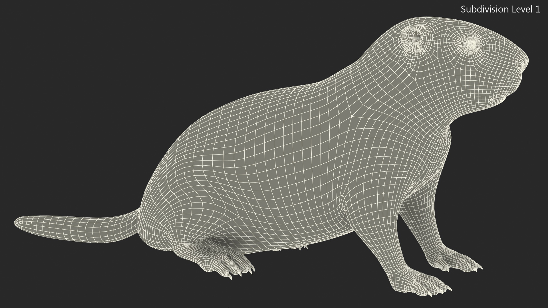 Sitting Ground Squirrel Fur 3D