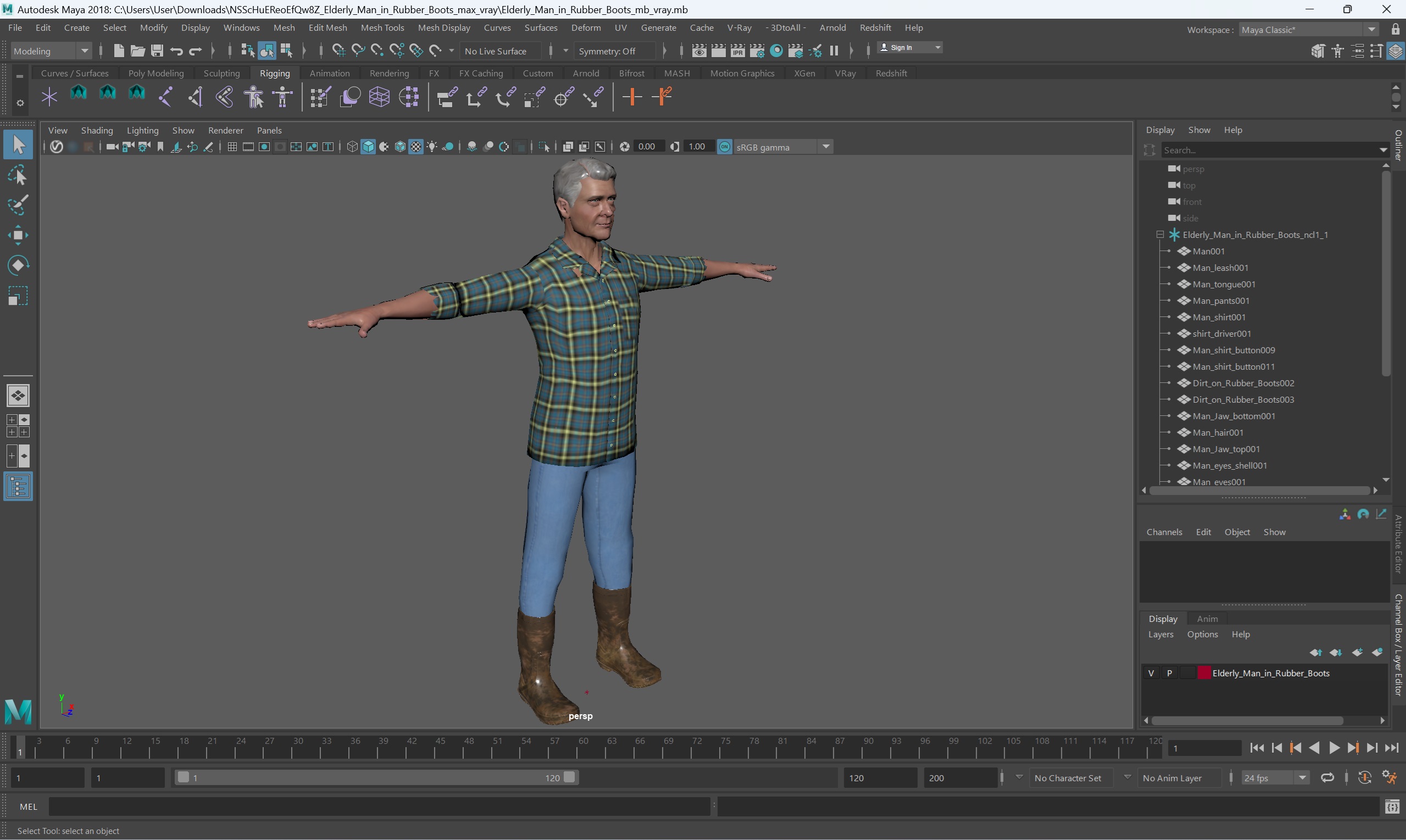 Elderly Man in Rubber Boots 3D