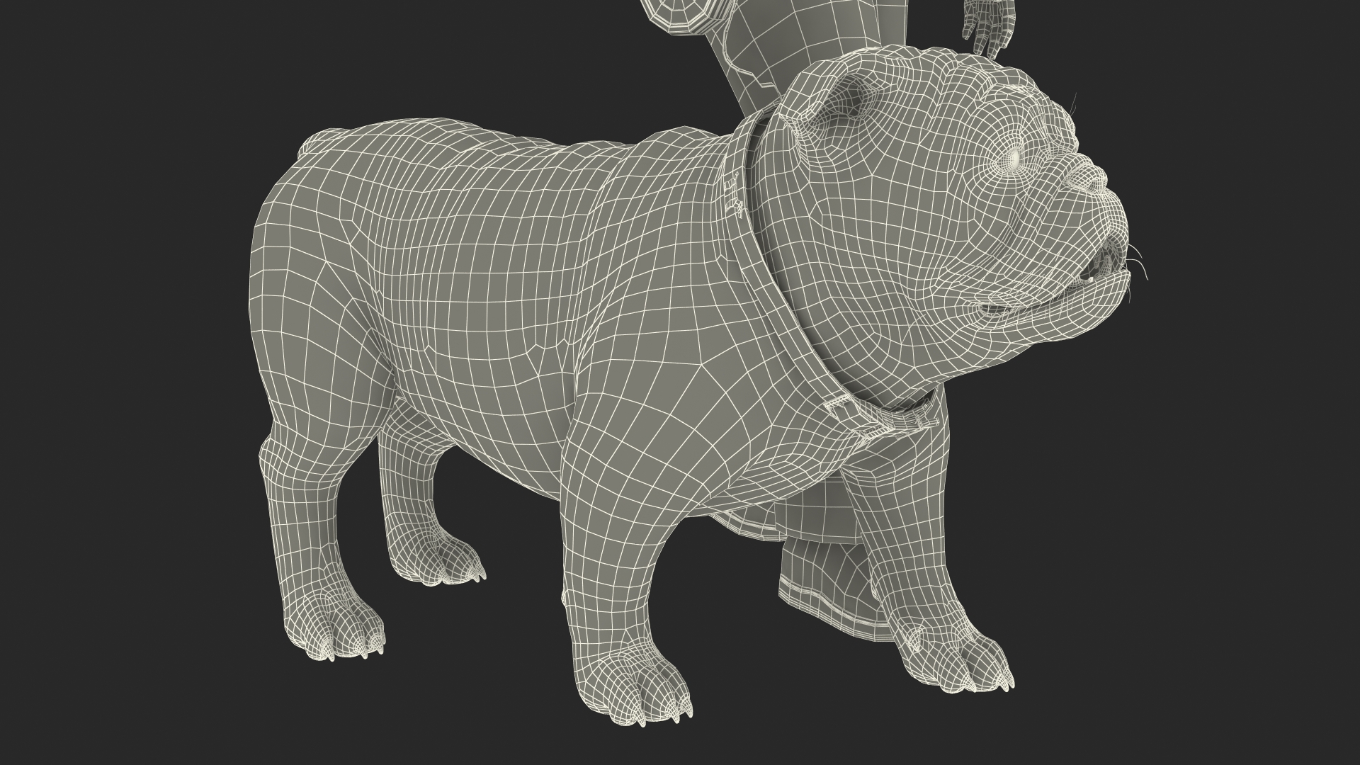 Girl Walks with a Bulldog Fur 3D model