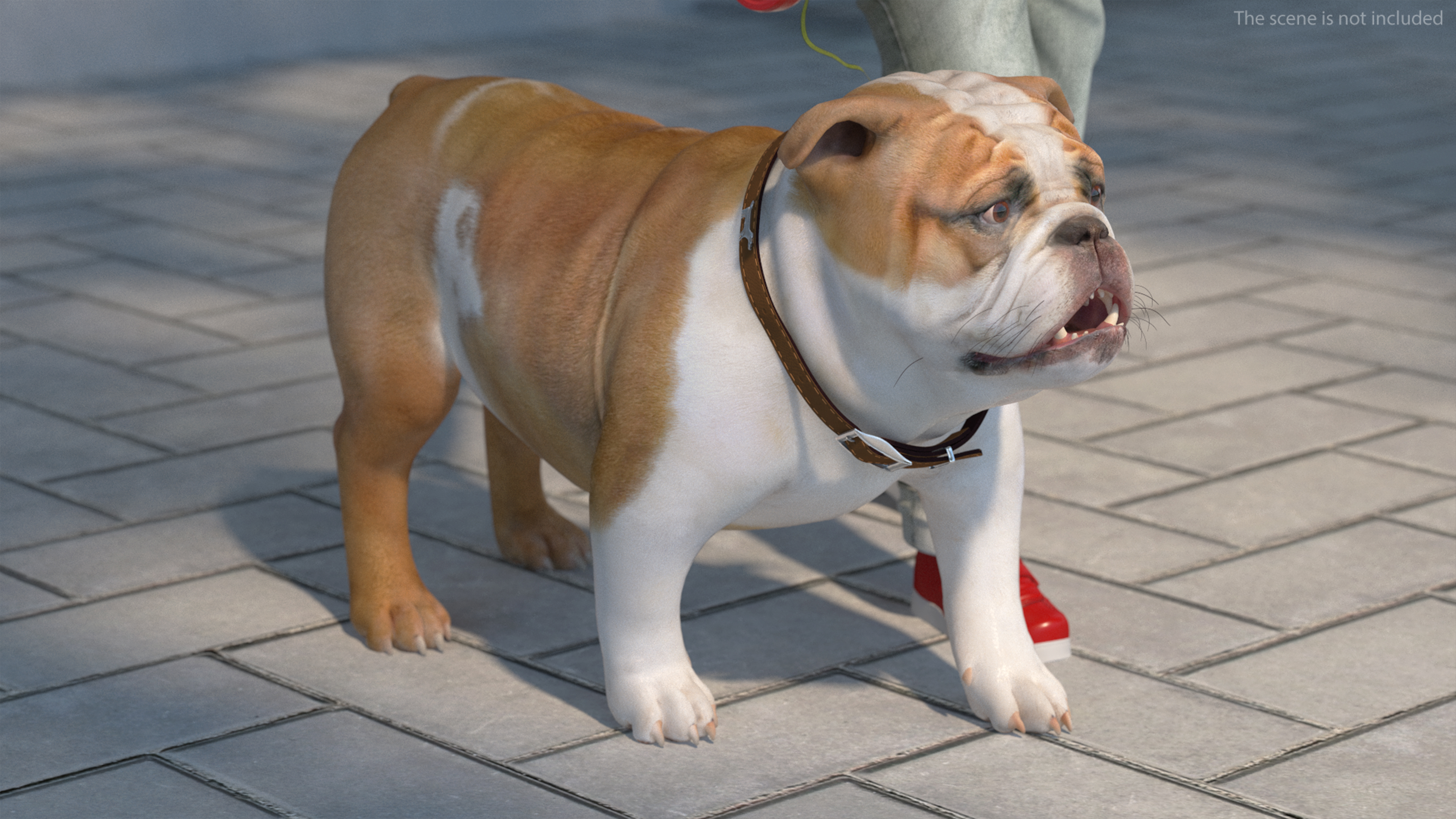 Girl Walks with a Bulldog Fur 3D model