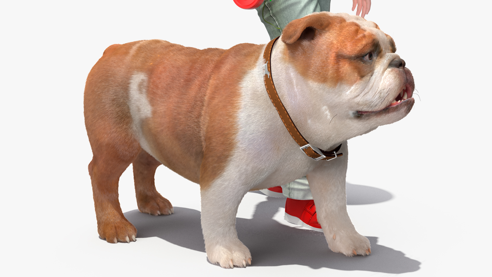 Girl Walks with a Bulldog Fur 3D model