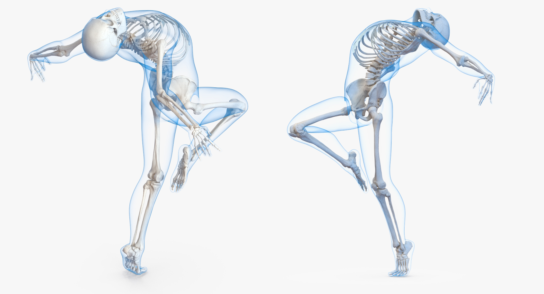 3D model Male Body with Skeleton Ballet Pose
