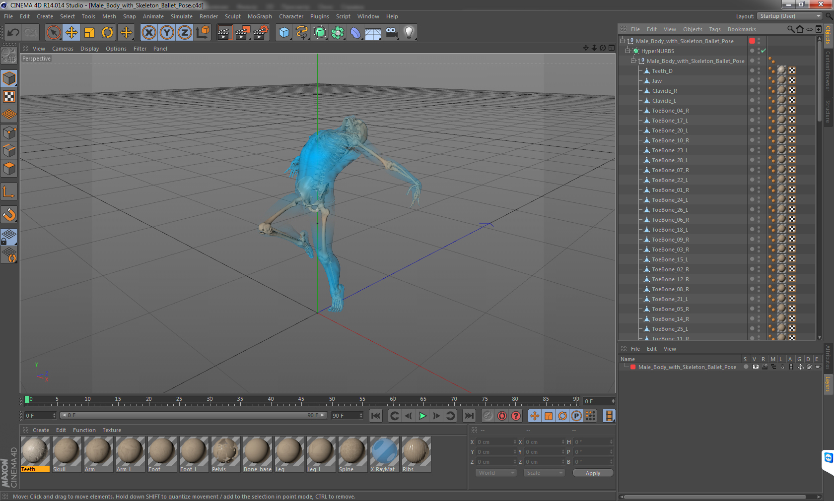 3D model Male Body with Skeleton Ballet Pose