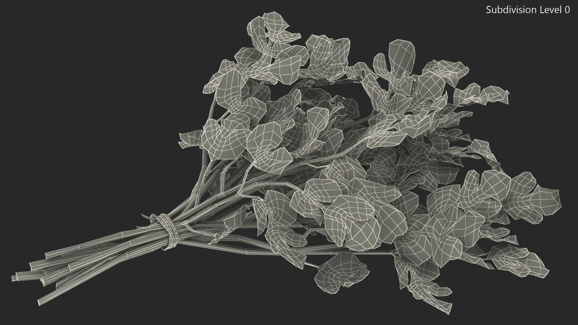 Cilantro Bunch With Rope 3D model