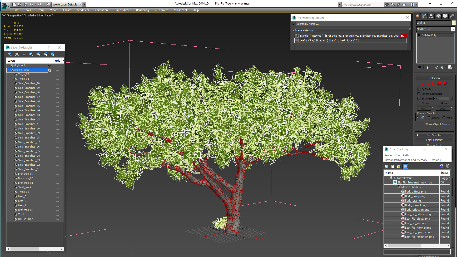 Big Fig Tree 3D