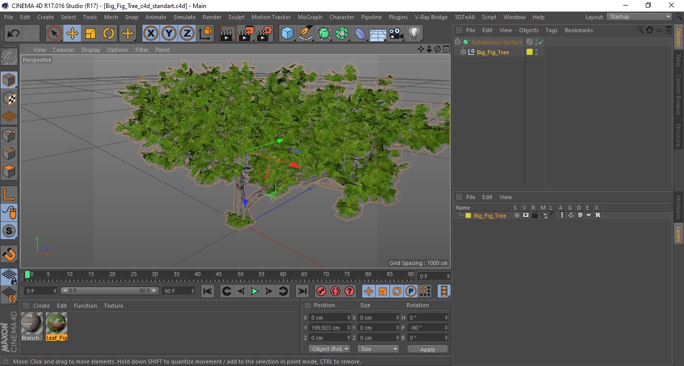 Big Fig Tree 3D