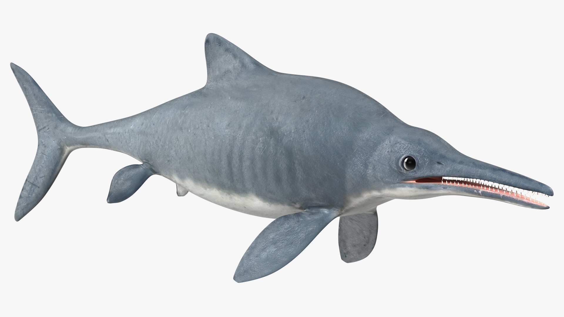 3D Ichthyosaur