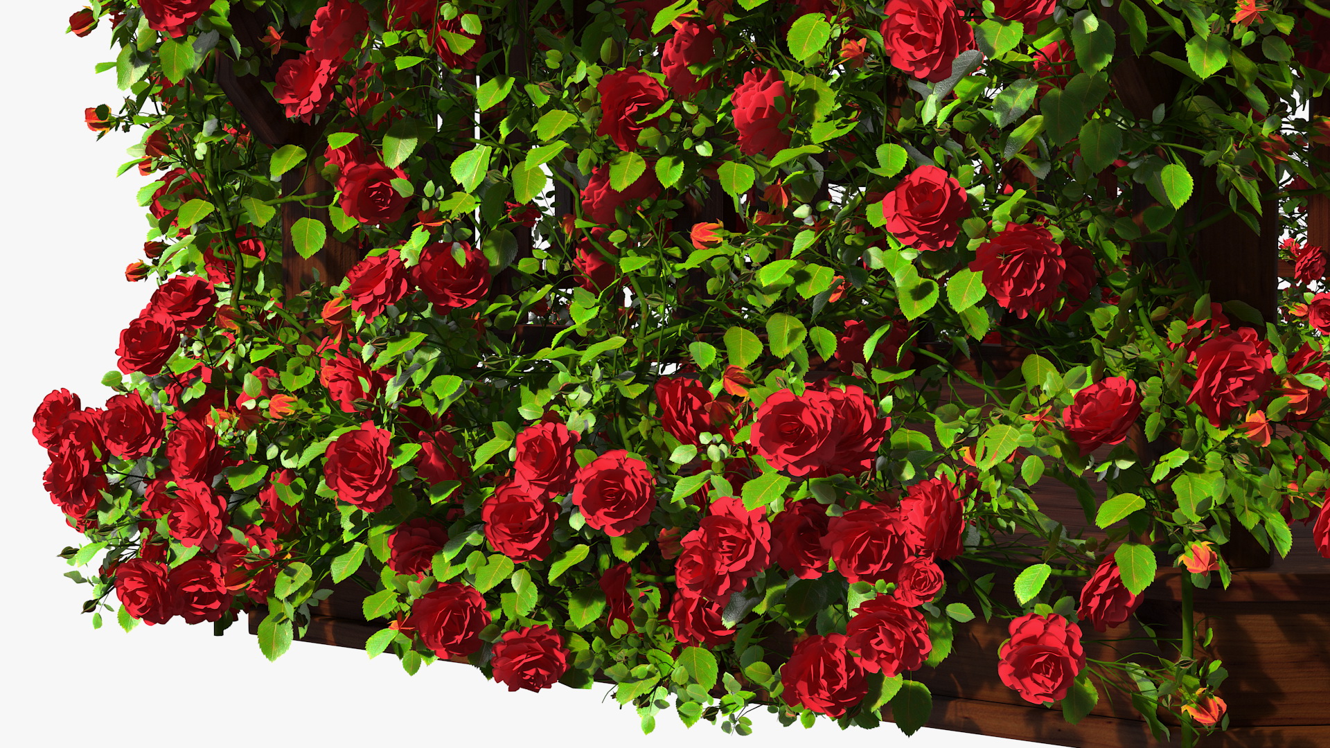 3D Wooden Gazebo Covered with Red Roses