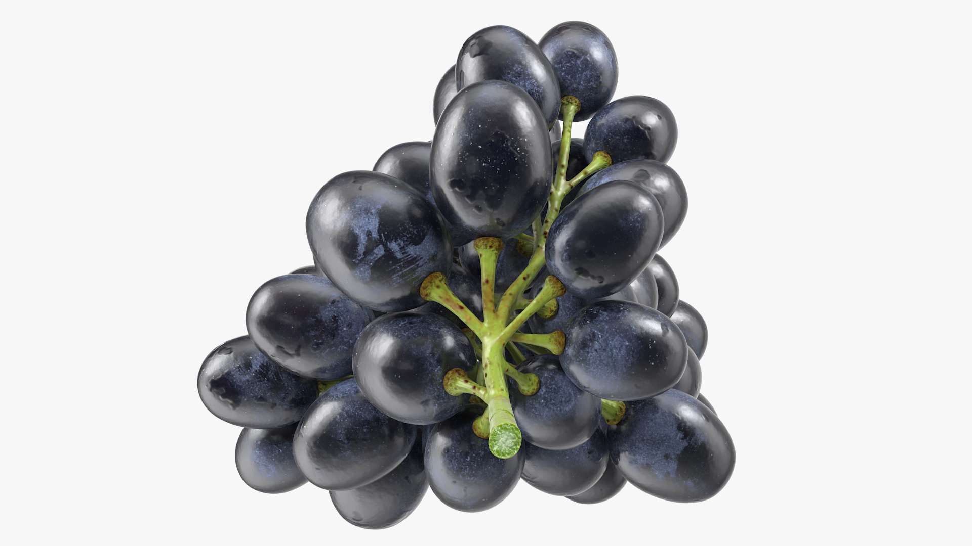 3D Cluster of Black Grapes model