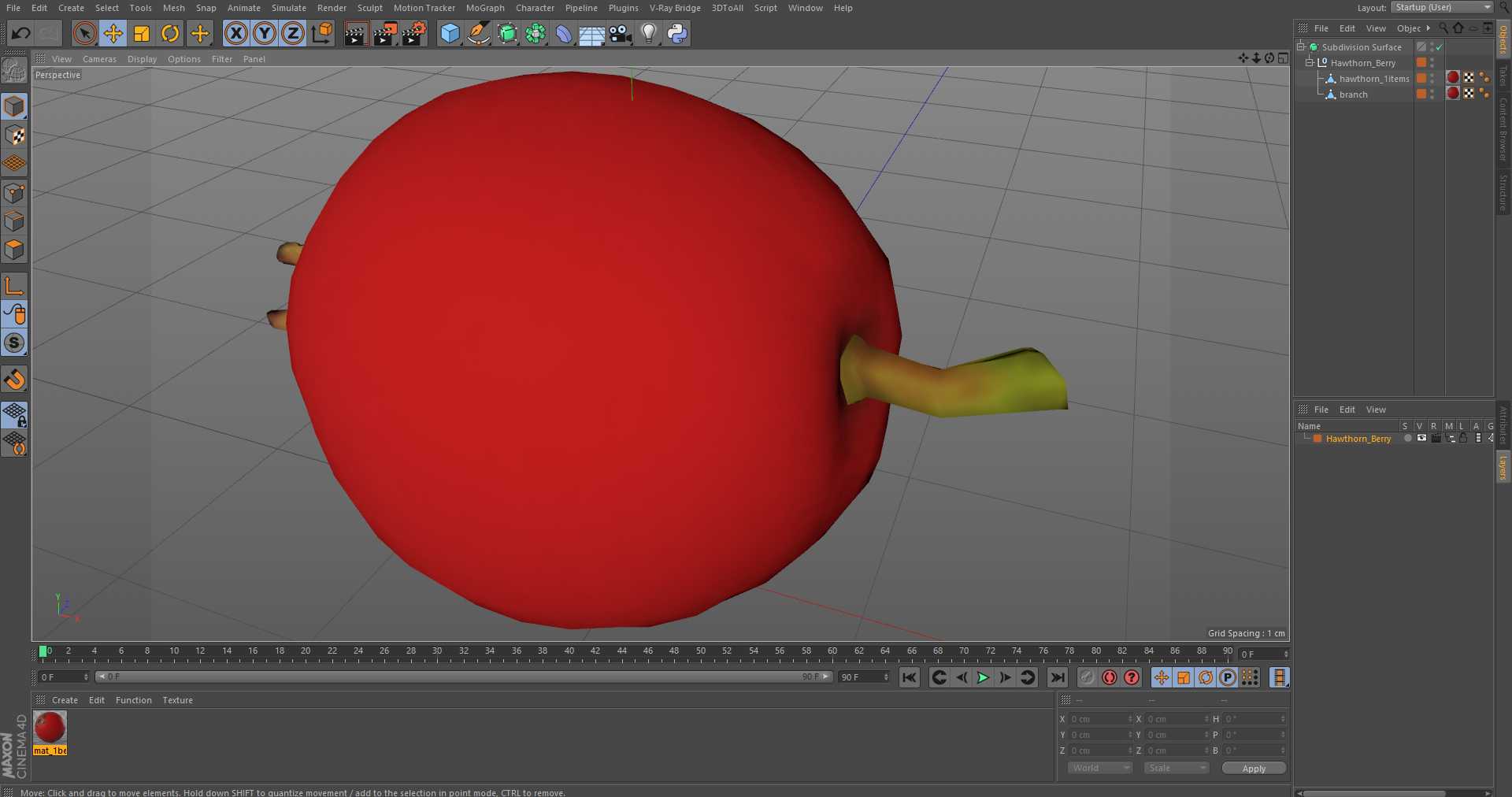 Hawthorn Berry 3D model