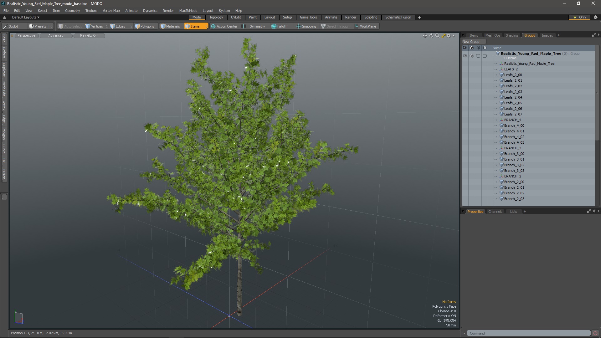 3D model Realistic Young Red Maple Tree
