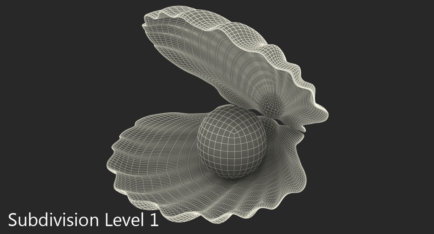 3D model Sea Shell With Pearl