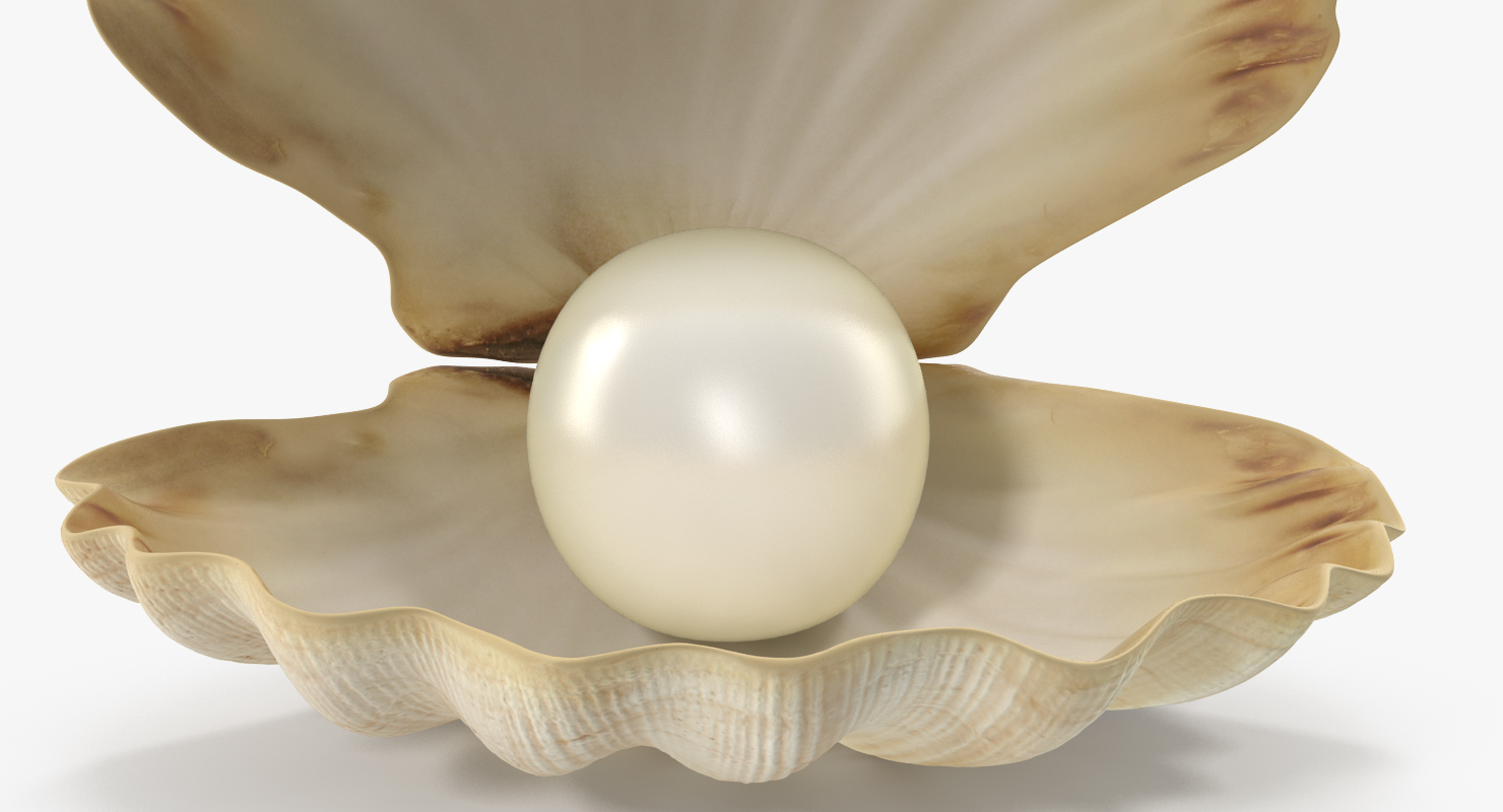 3D model Sea Shell With Pearl