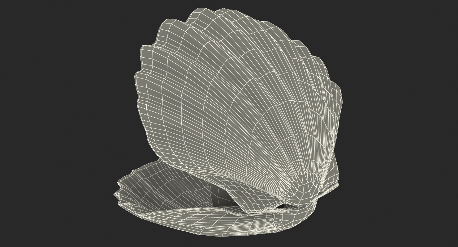 3D model Sea Shell With Pearl