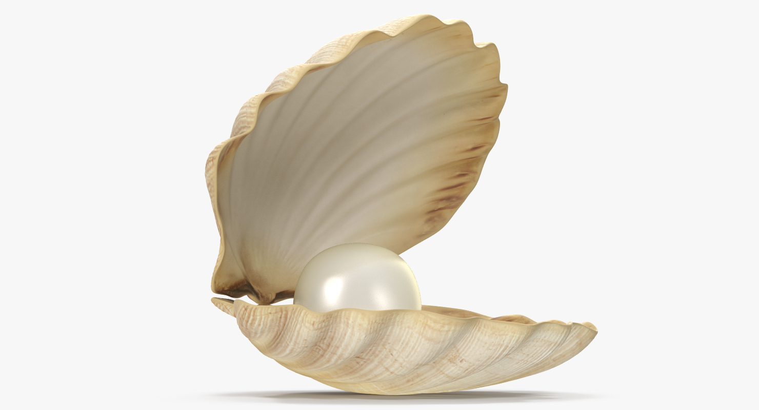 3D model Sea Shell With Pearl