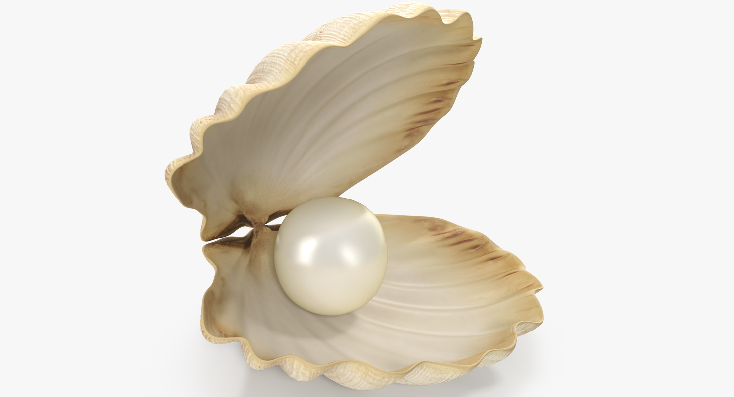 3D model Sea Shell With Pearl