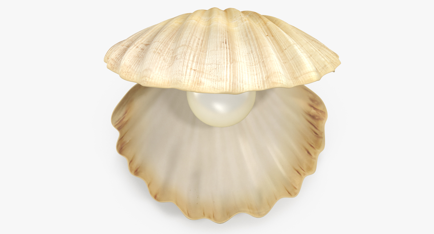 3D model Sea Shell With Pearl