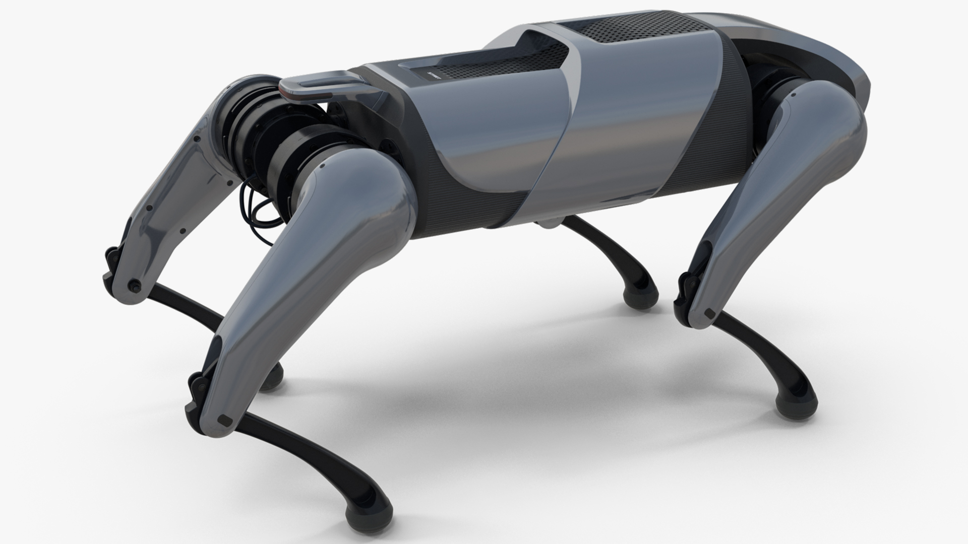 3D model CyberDog Gray Rigged