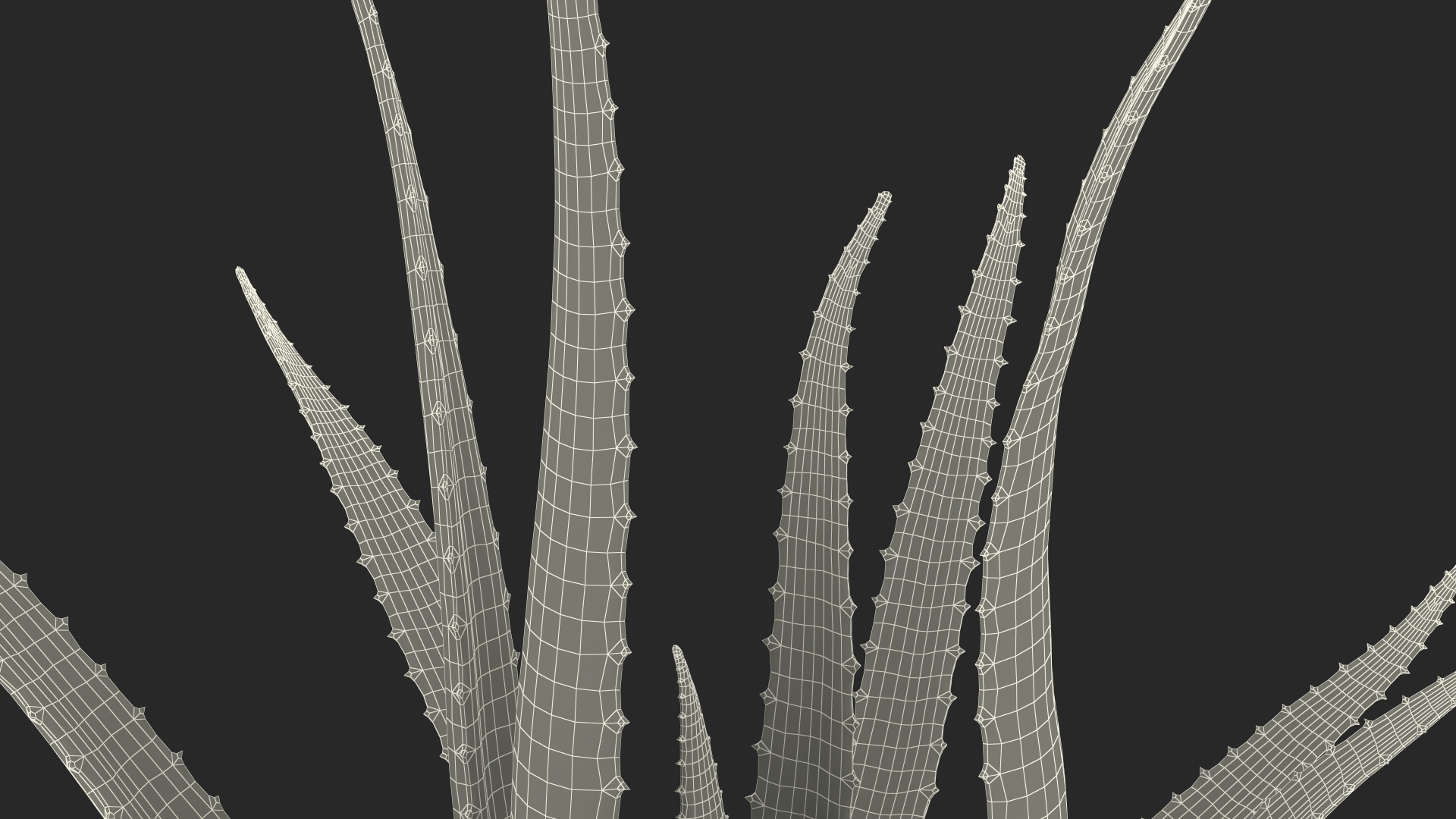 Aloe Bush 3D model