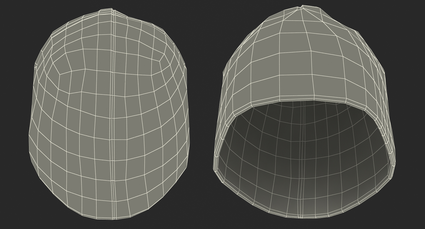 3D model Mens Winter Hat