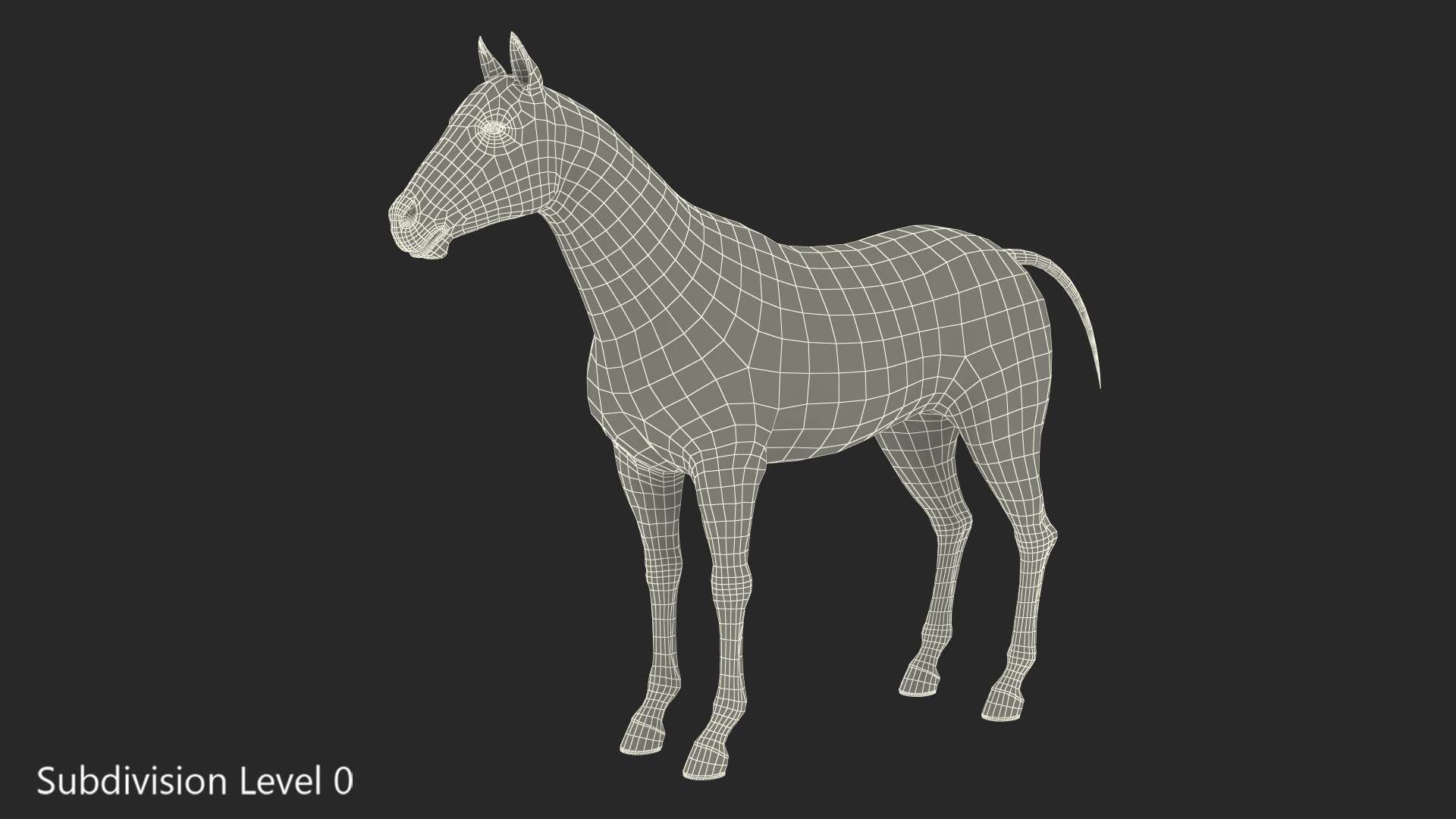 3D model White Horse Fur