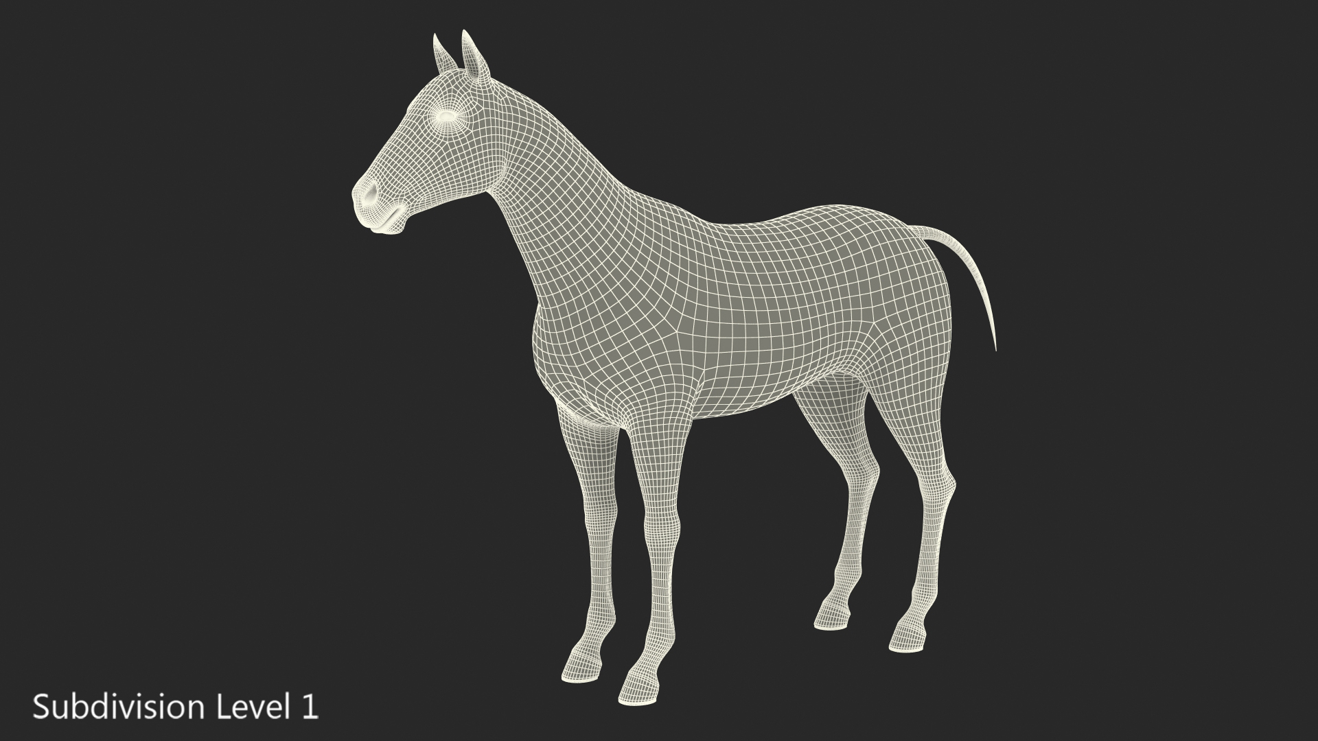 3D model White Horse Fur
