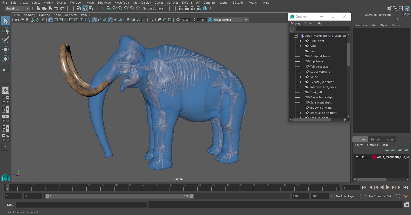 Adult Mammoth Old Skeleton Shell 3D