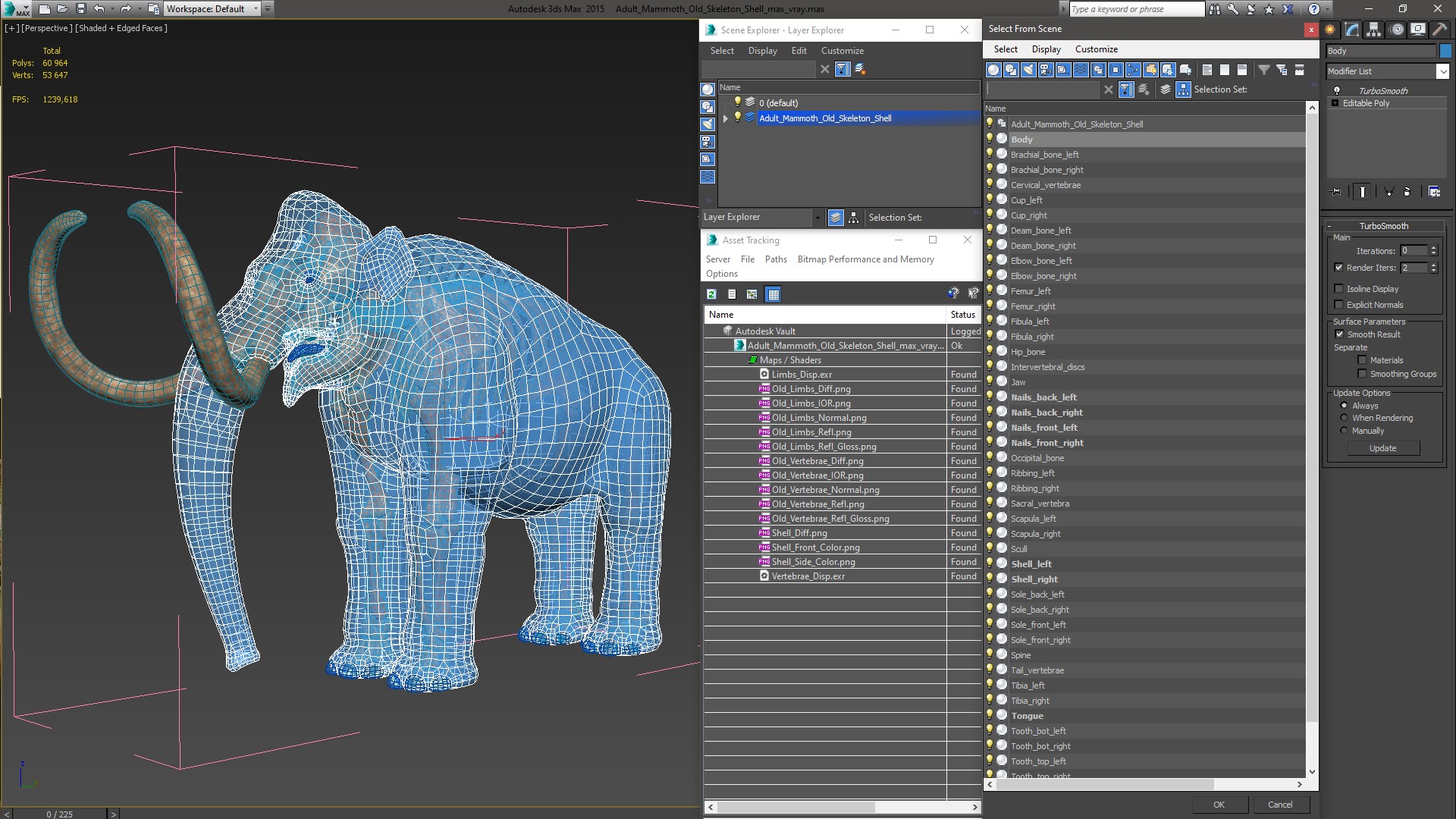 Adult Mammoth Old Skeleton Shell 3D