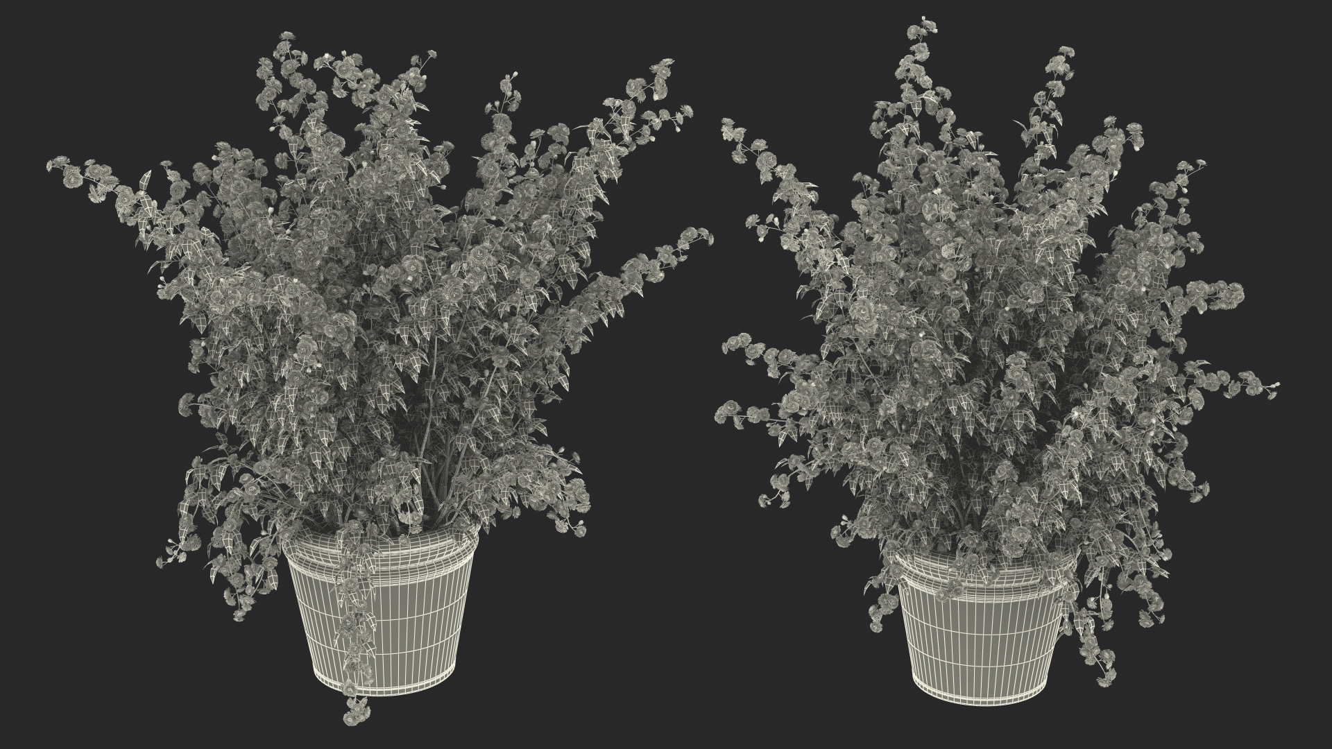 Japanese Kerria in Flower Pot 3D model