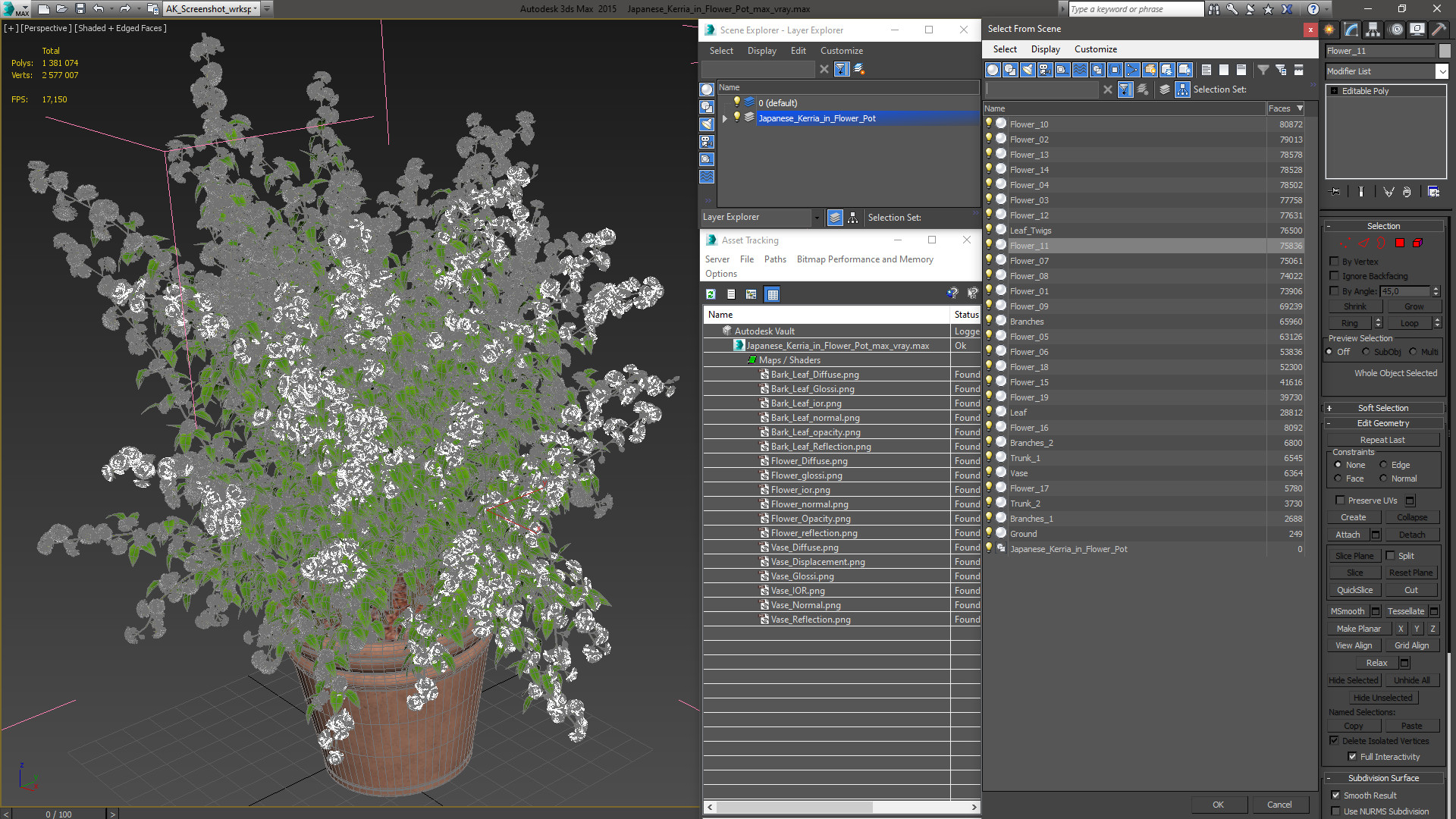Japanese Kerria in Flower Pot 3D model