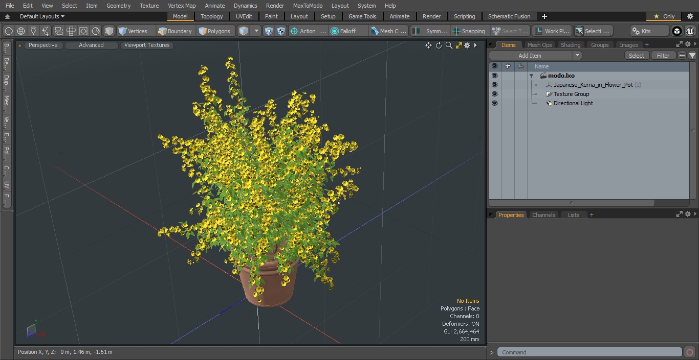 Japanese Kerria in Flower Pot 3D model