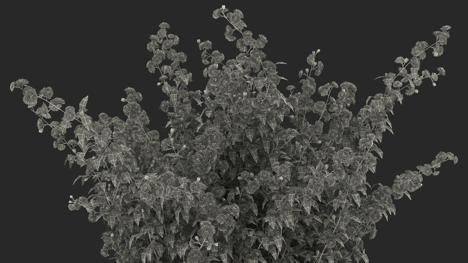 Japanese Kerria in Flower Pot 3D model