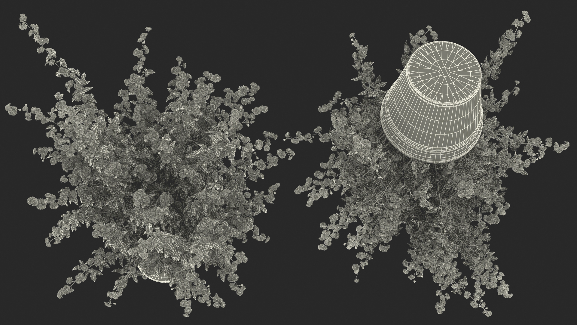 Japanese Kerria in Flower Pot 3D model