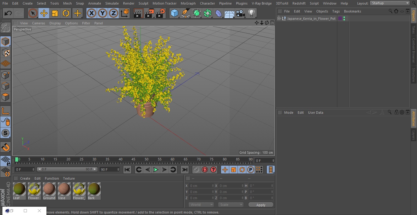 Japanese Kerria in Flower Pot 3D model