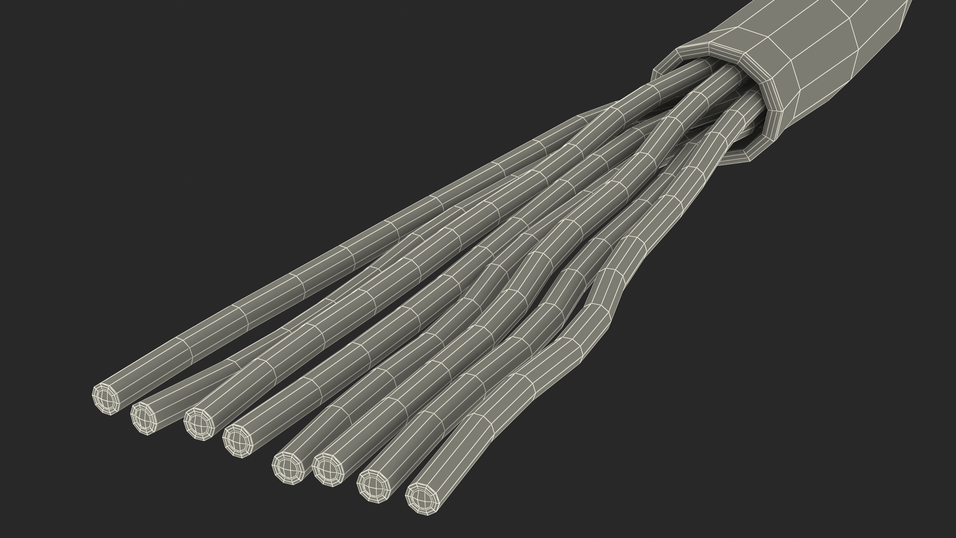 RJ45 Cable Cut 3D model