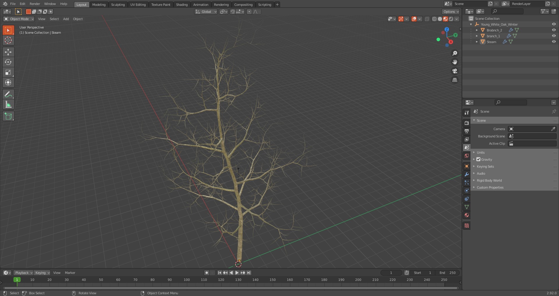 Young White Oak Winter 3D