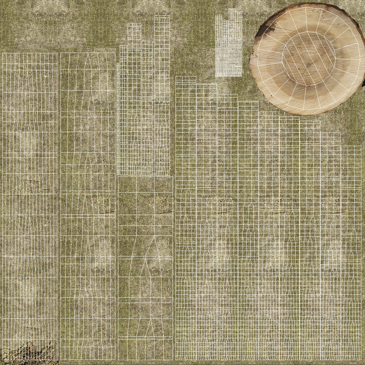 Young White Oak Winter 3D
