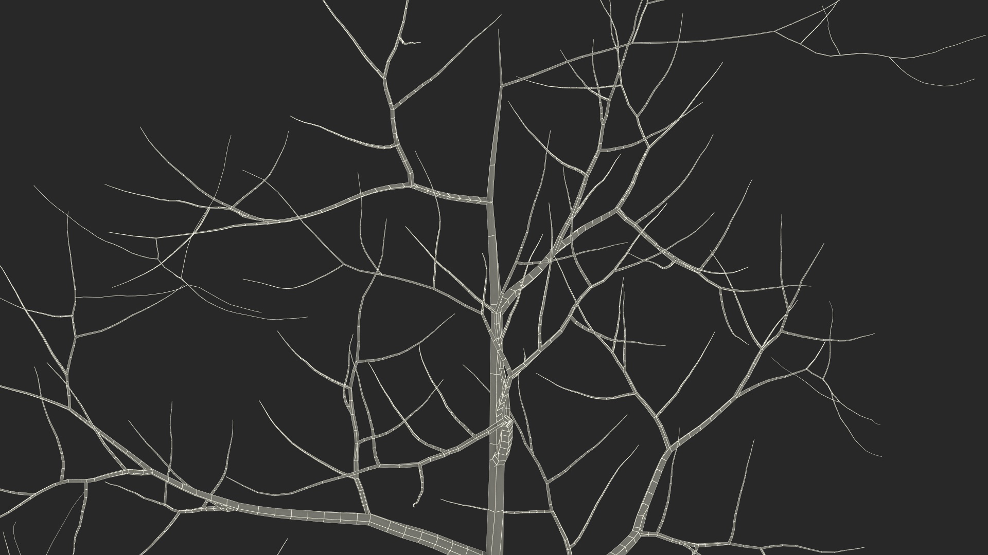 Young White Oak Winter 3D