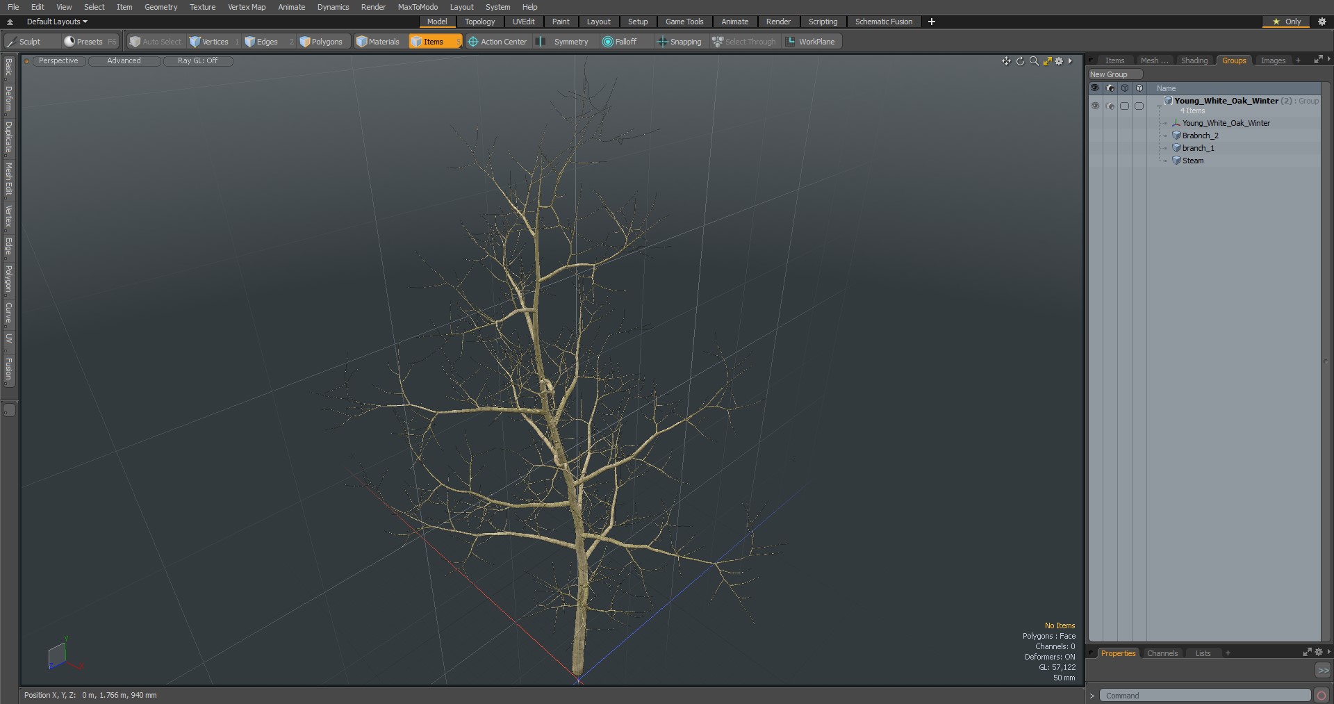 Young White Oak Winter 3D