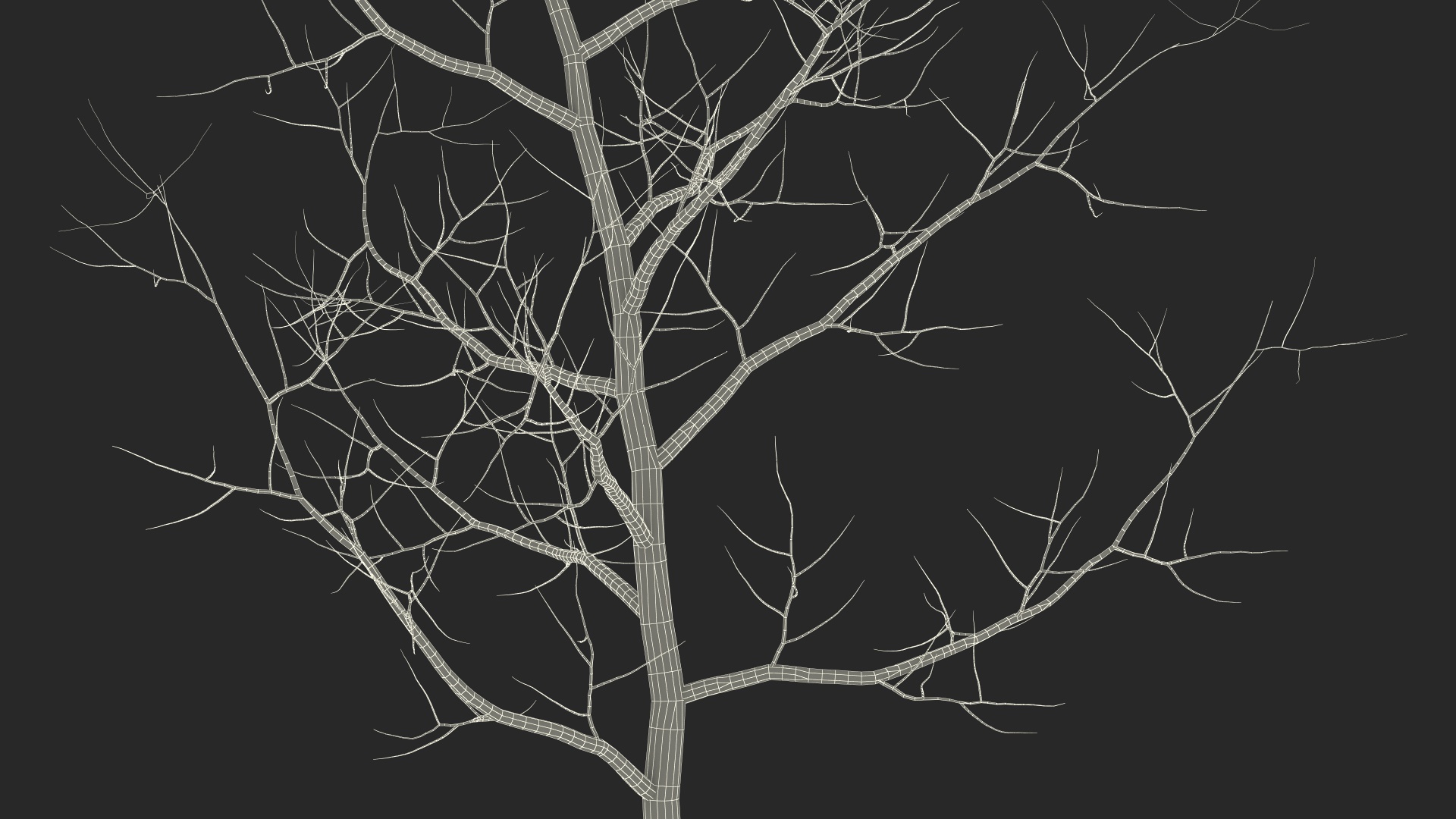 Young White Oak Winter 3D