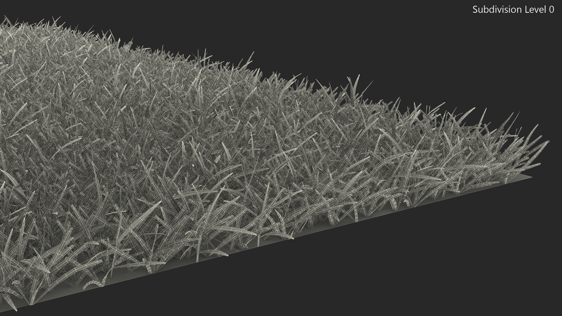 3D Seashore Paspalum Grass model