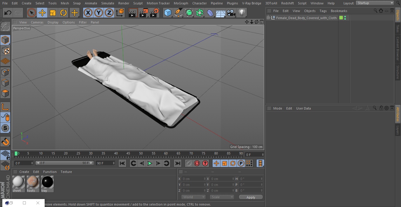 3D model Female Dead Body Covered with Cloth