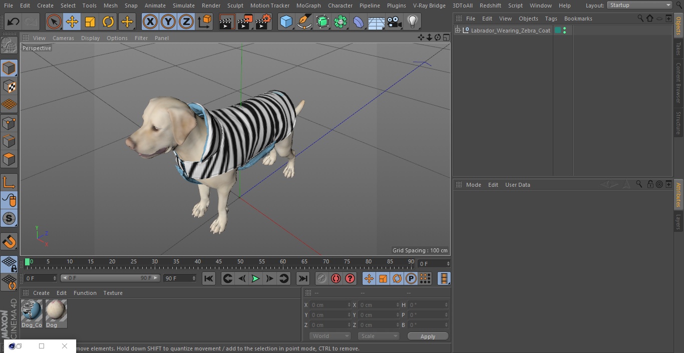 Labrador Wearing Zebra Coat 3D