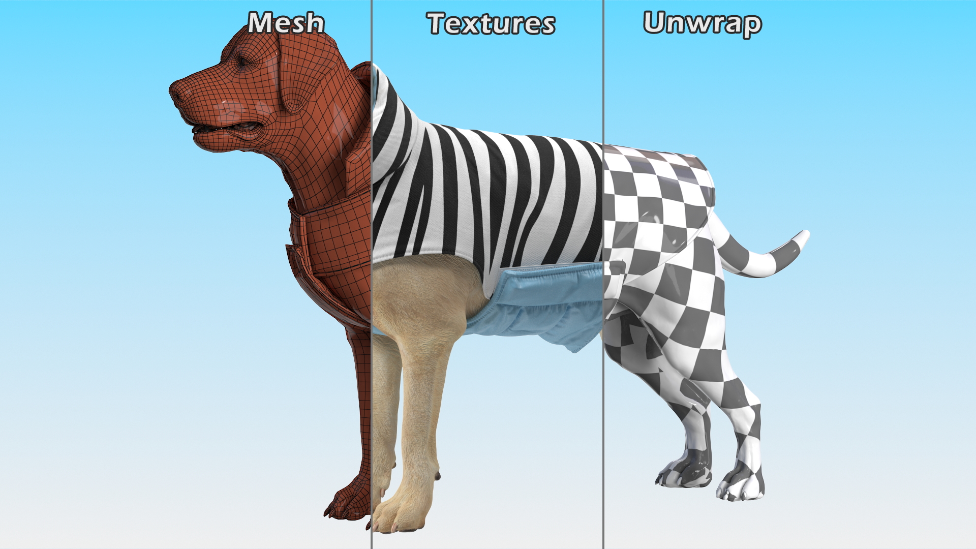 Labrador Wearing Zebra Coat 3D