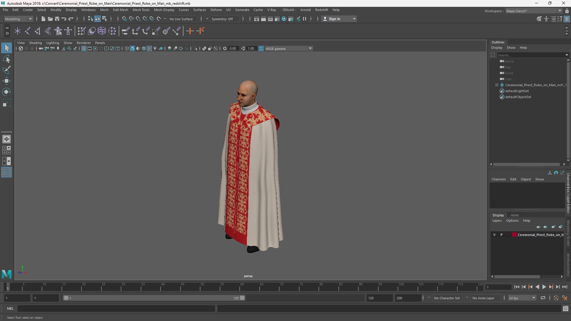 Ceremonial Priest Robe on Man, view 10