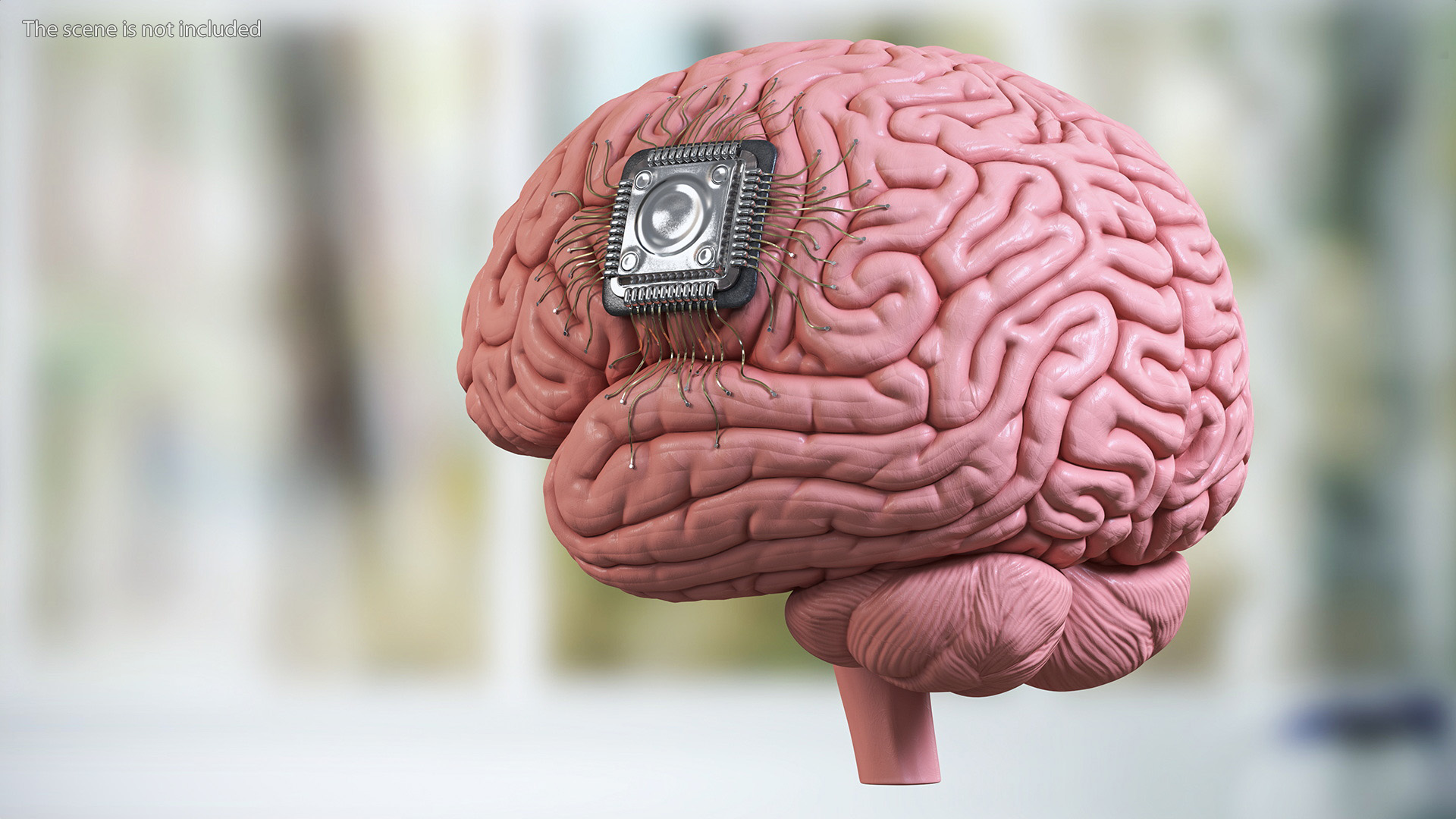 3D Human Brain With Implanted Microchip