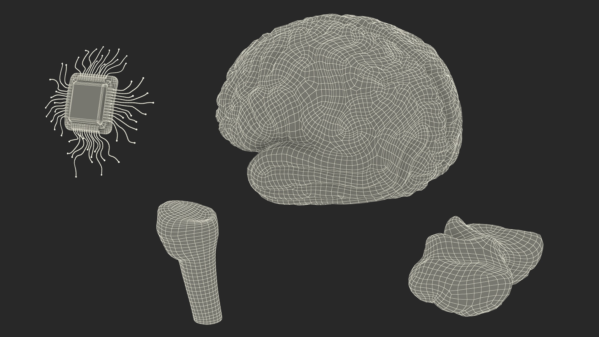 3D Human Brain With Implanted Microchip